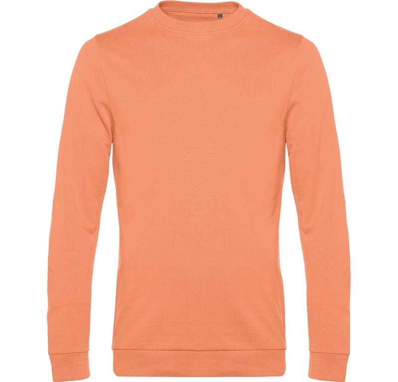 Moški pulover SET IN