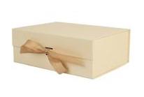 Darilna škatla GIFT BOX RIBBON