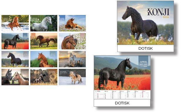 Koledar KONJI