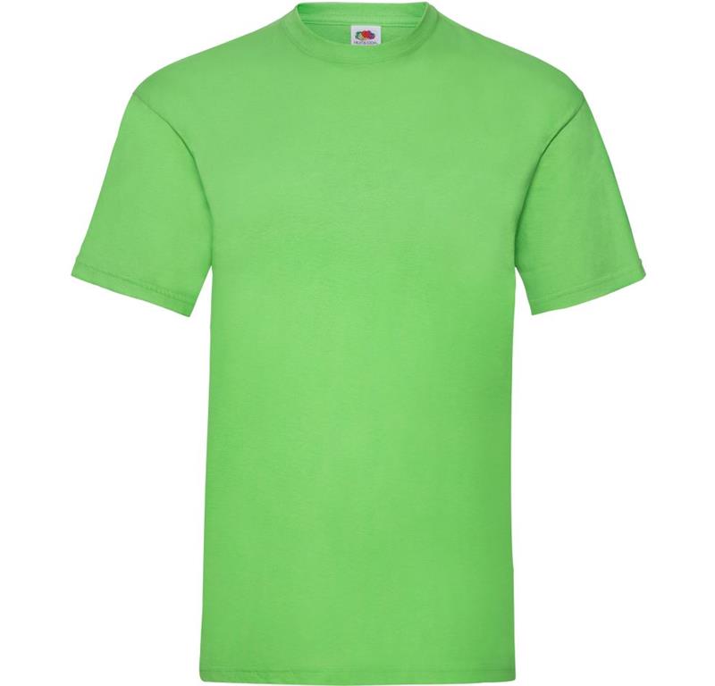 Moška majica VALUEWEIGHT 1036