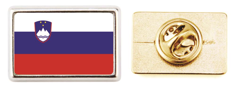 Rectangular pin brooch P15