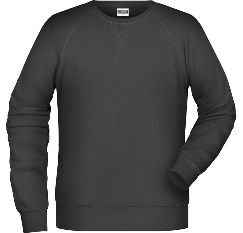 Herren Raglan Sweater JN 8022