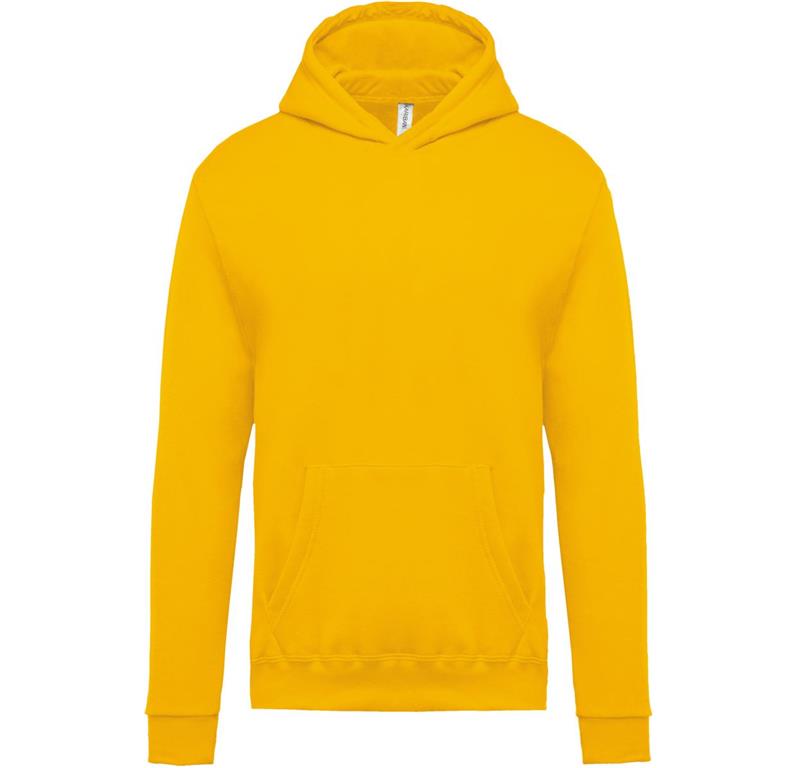 Kids' Hooded Sweater K477
