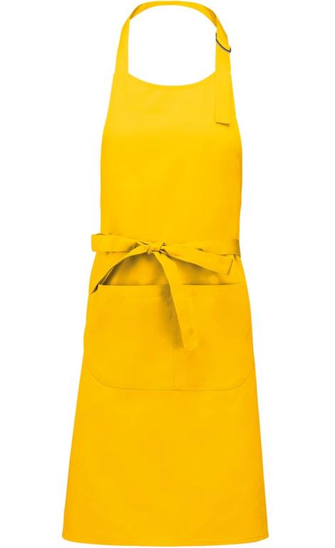 Predpasnik K890