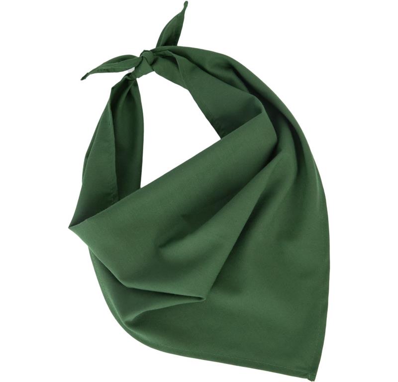 Bandana P064