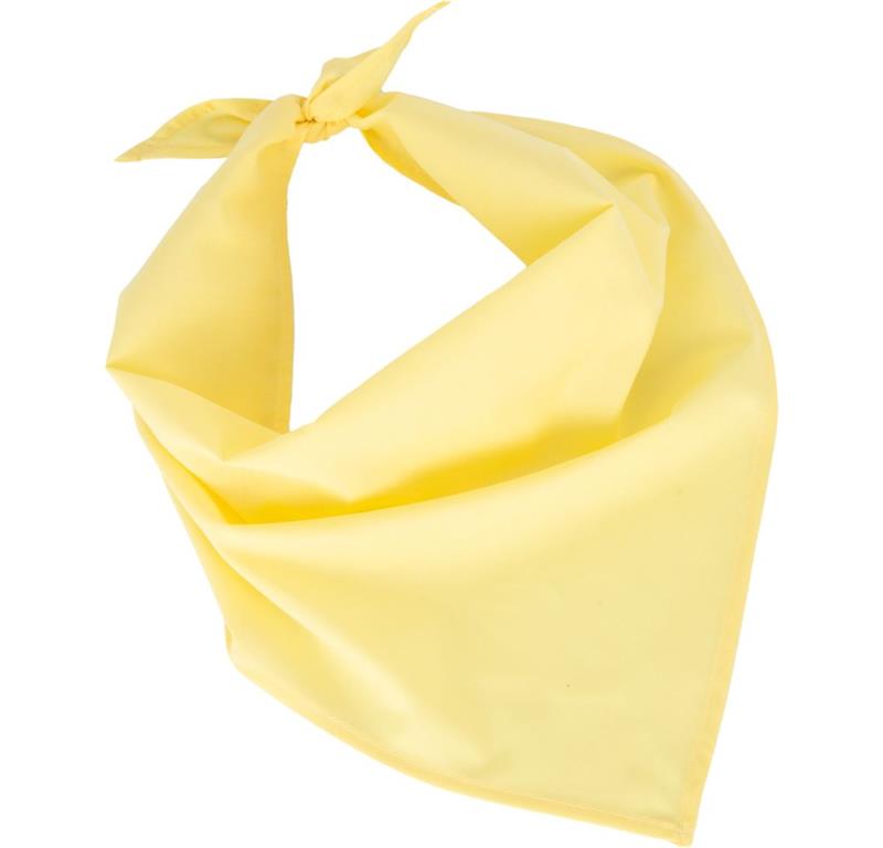 Bandana P064