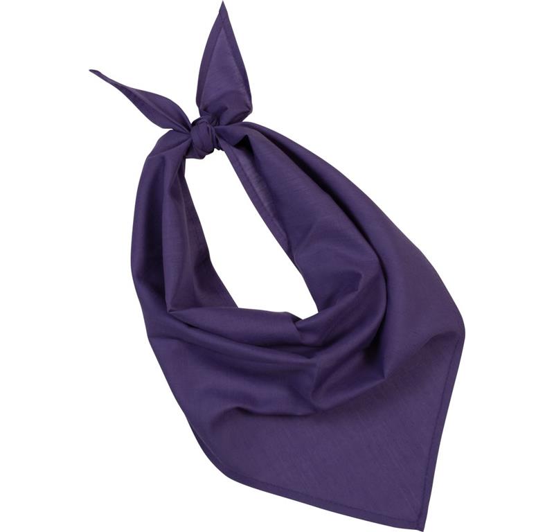 Bandana P064
