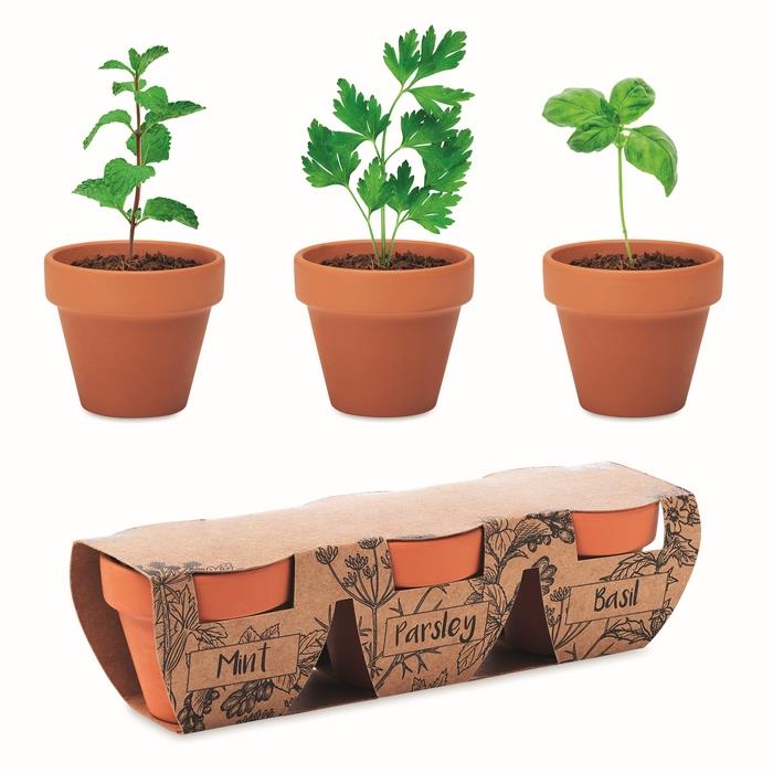 Terracotta 3 herb pot set FLOWERPOT