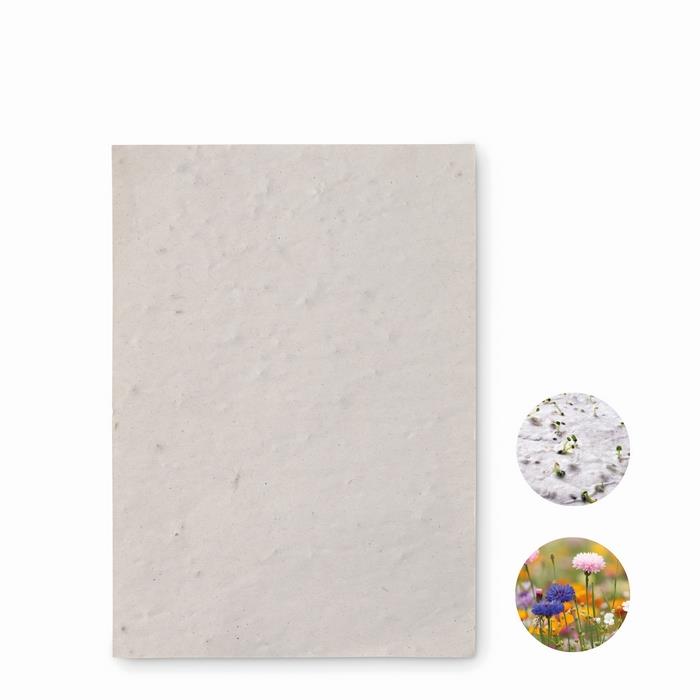 A6 wildflower seed paper sheet ASIDO