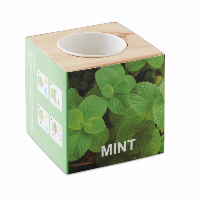 Kräuterpflanz-Set "Minze'' MENTA