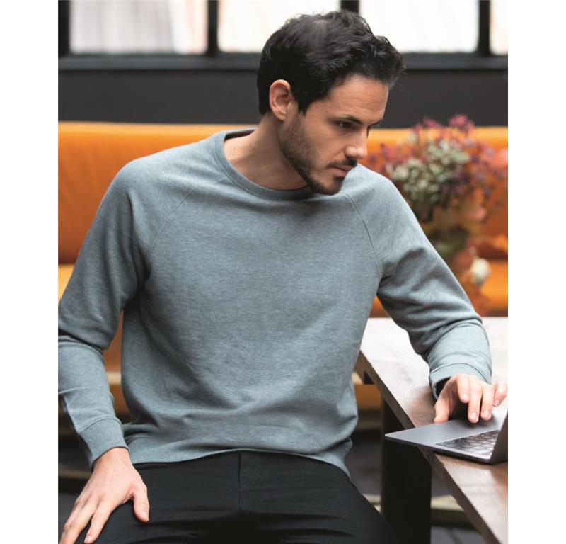 Herren Raglan Sweater Nelson Men