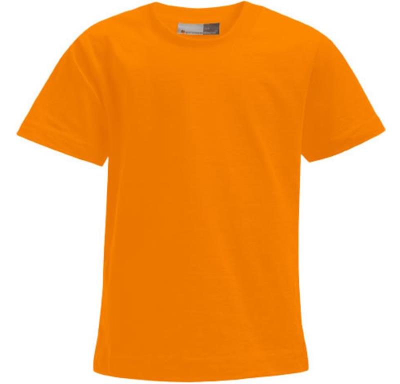 Kids' Premium T-Shirt 399