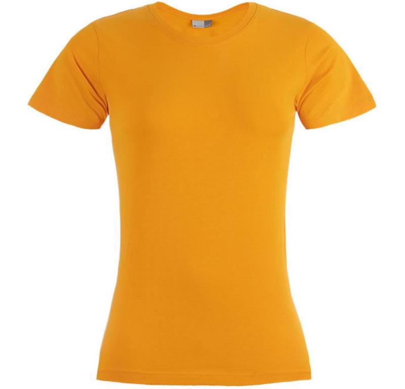 Ladies' Premium T-Shirt 3005