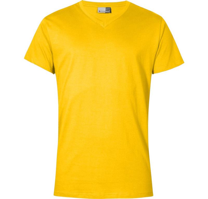 Men's Premium V-Neck T-Shirt 3025