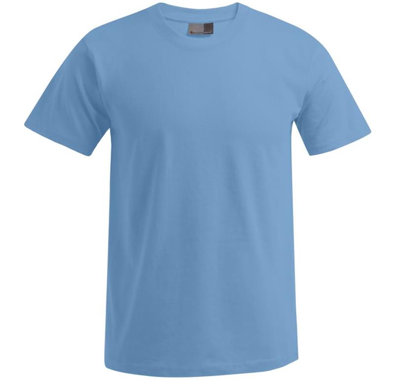 Herren Premium T-Shirt 3099