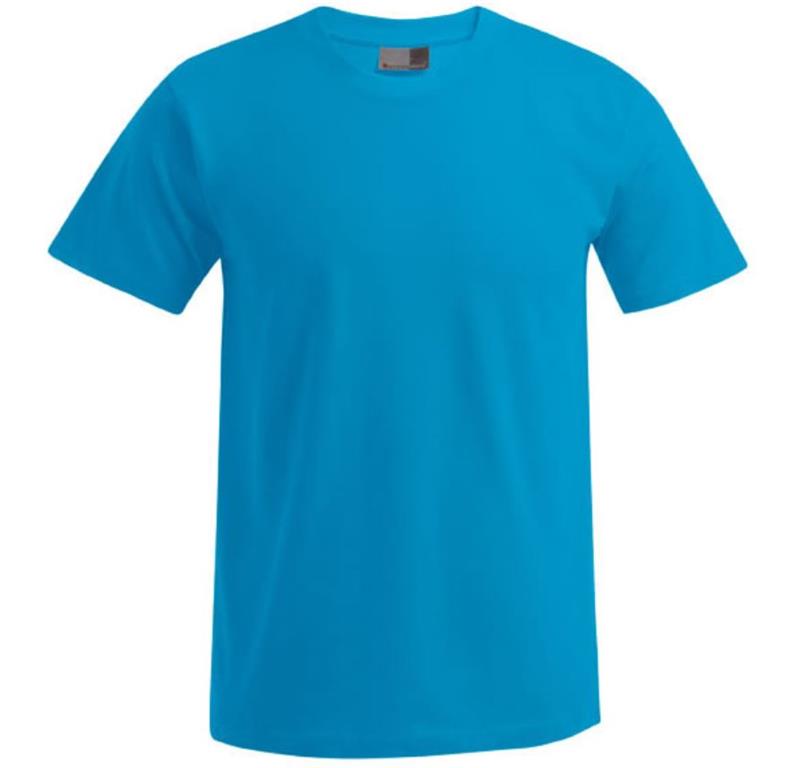 Herren Premium T-Shirt 3099