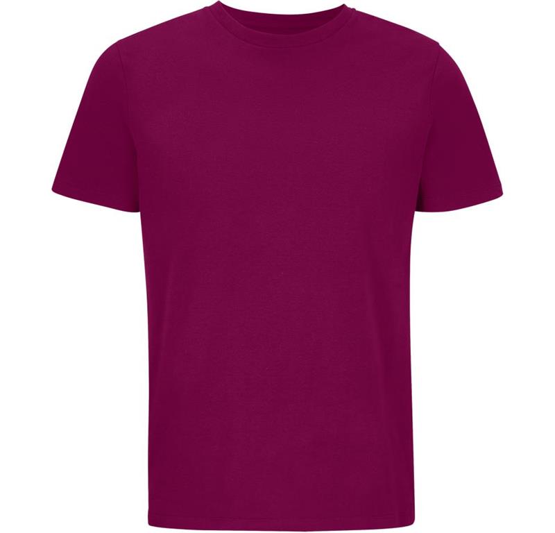 Unisex Bio IC T-Shirt SOL'S | Legend