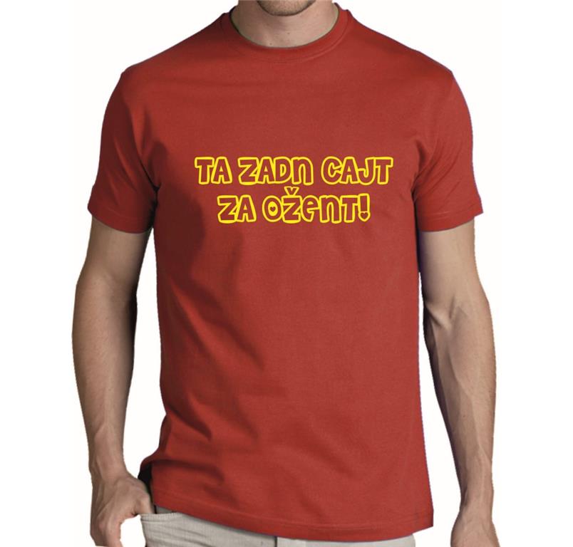Moška majica TA ZADN CAJT
