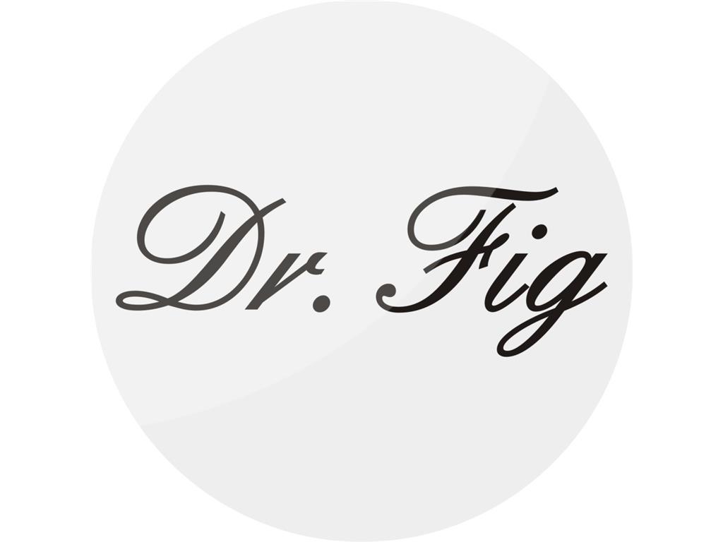 Broška magnet DR FIG