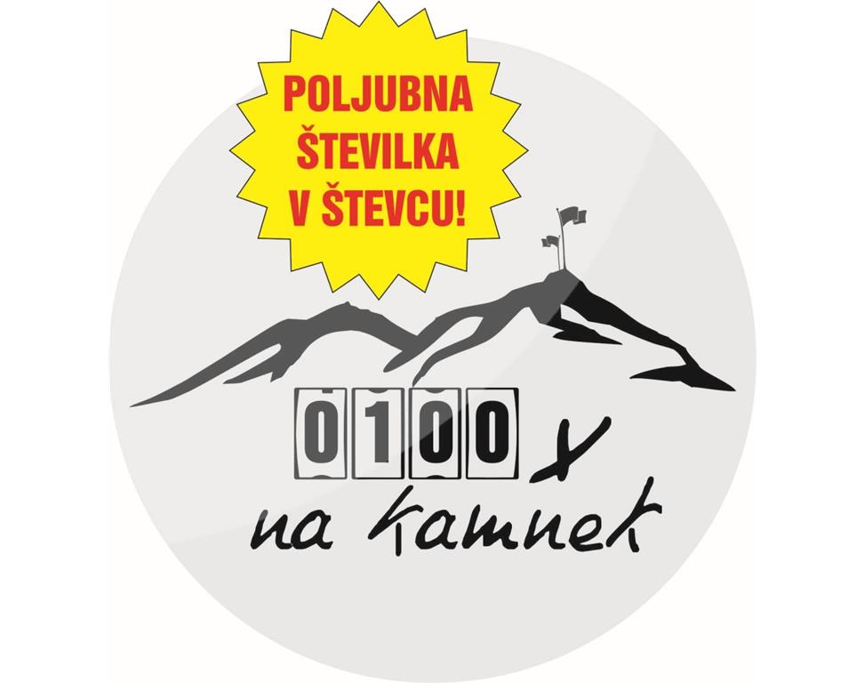 Broška magnet 100x NA KAMNEK