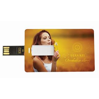 USB kartica 4GB-16GB